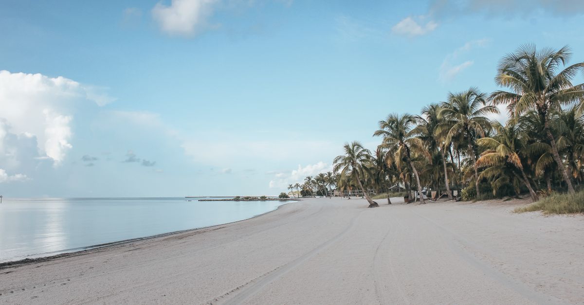 Best Time to Visit Key West: Weather, Prices, Crowds